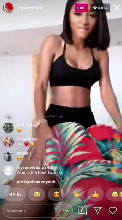Megan Thee Stallion and Jay Nice are giving me a ladyboner