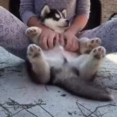 &amp;lt;3