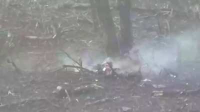 Russian soldier resting on a tree is torn apart by an FPV drone. Likely Avdiivka direction.