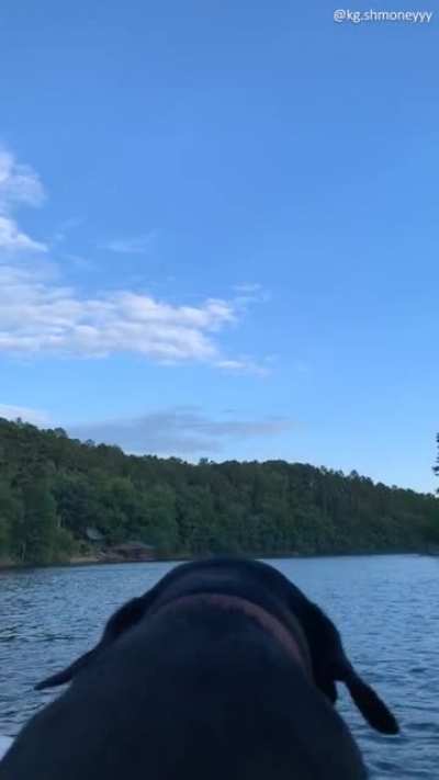 Flappy ears!