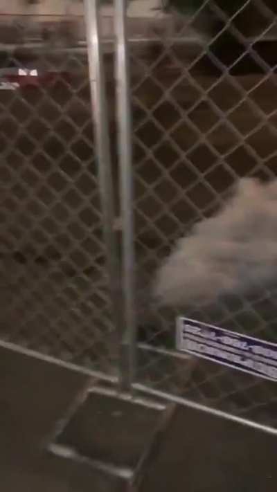 Portland sounds like a warzone