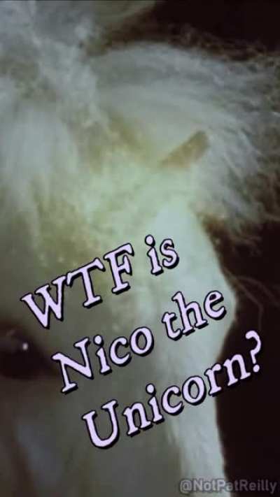 WTF is Nico the Unicorn? 🦄