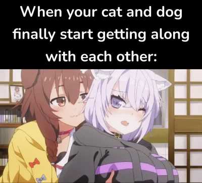 What da dog doin