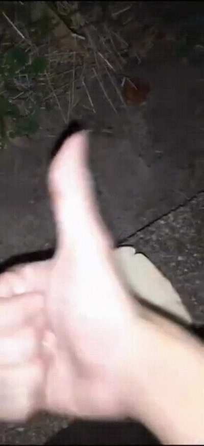 hmmm