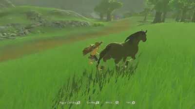 Hyrule is doomed