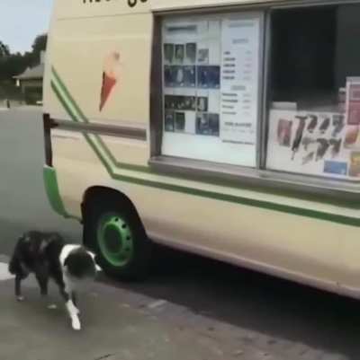 :,)