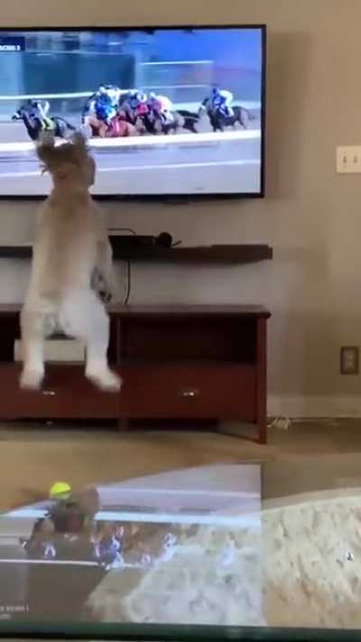 Got the hops