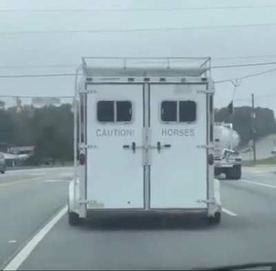 Caution Horses