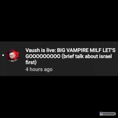 Average Vaush stream: