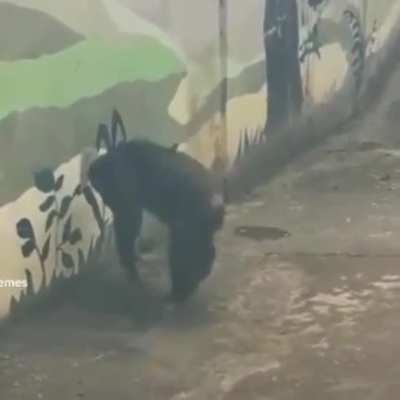 Fernando Sim&oacute;n: &ldquo;solo habr&aacute; 2 o 3 casos de viruela del mono como mucho&rdquo; Mi abuela dentro de 5 d&iacute;as: