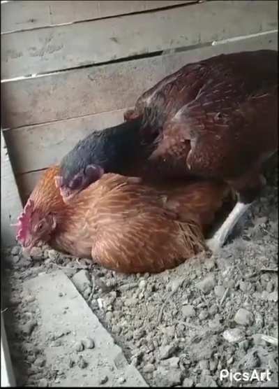 Scolding mate for not taking good care of the kids