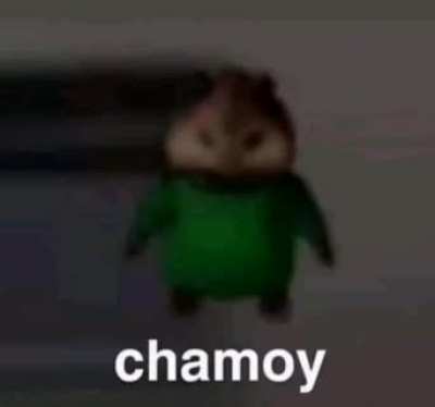 C H A M O Y