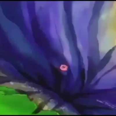 AAAAAAAA