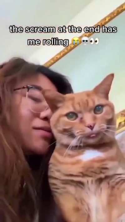 MW&Aring;&Auml;Ā&AElig;