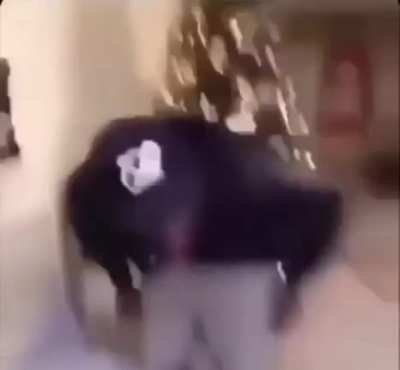 Lol