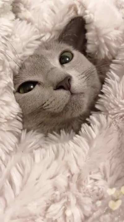 she loves being cozy ☺️