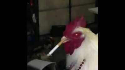 Cursed_world .