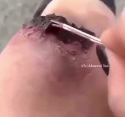 Tasty
