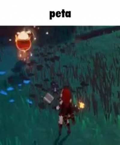 kill dog