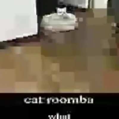 Cat roomba