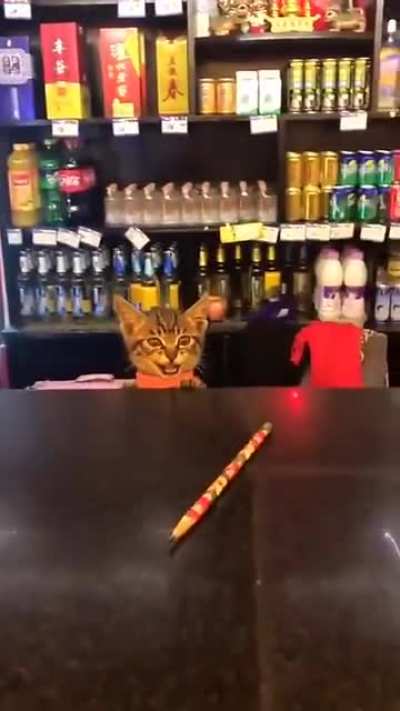 I haven&rsquo;t seen ever a cute shopkeeper like this!