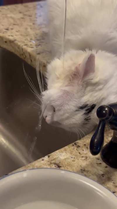 That&rsquo;s&hellip;. A Way to Drink Water