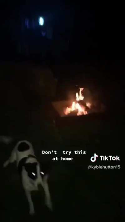 Not the fire!