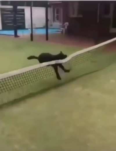 Stuck the landing