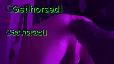 [OC] get horsed, losers <3