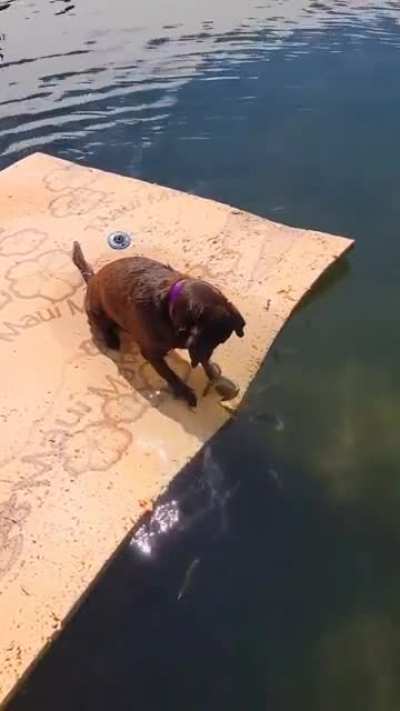 Observing the fishes