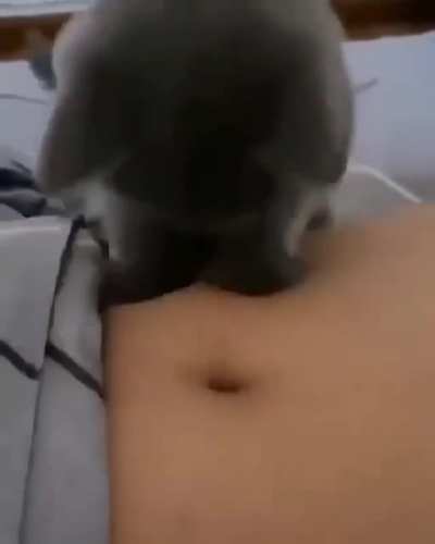 What kinda sorcery hole is this?