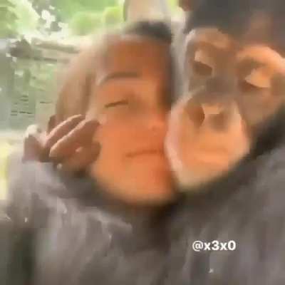 Monke dream