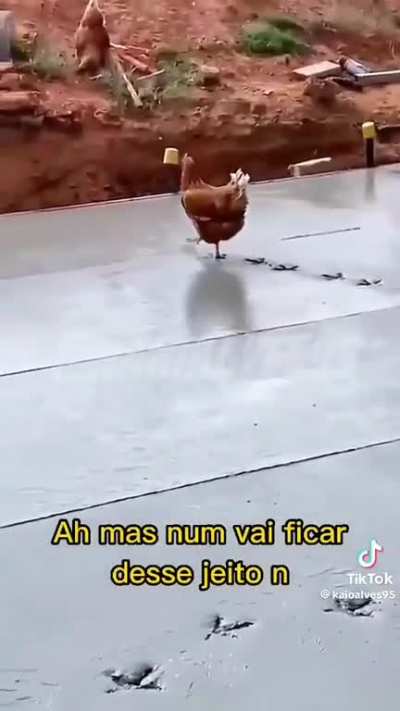 Galinha