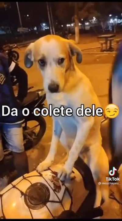 eh o bixo