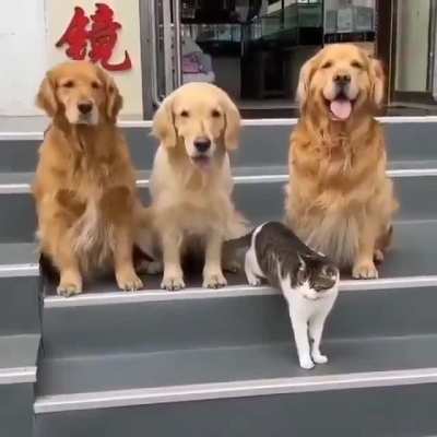 Пошли говорю фоткаться