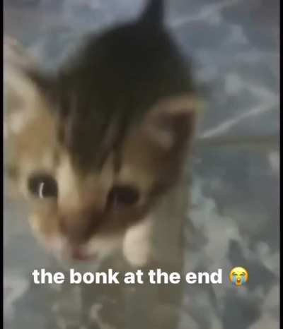 But here&rsquo;s the bonker