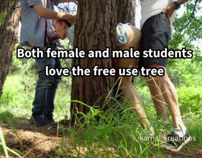 Every college should have a free-use tree