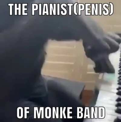 Jojo monke OO OO AA AA