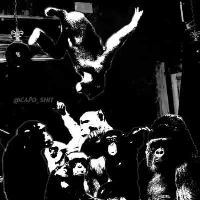 Ape die lit