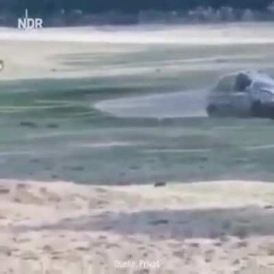 When you don't respect a rhino's personal space