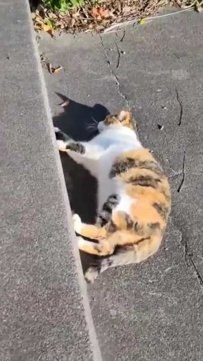 My little girl climbing down