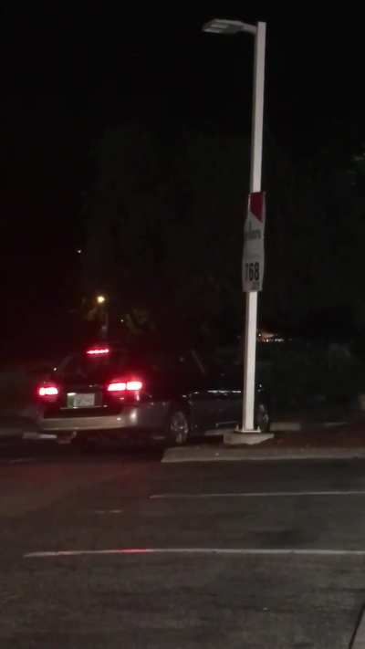 My Wife and I witnessed this in 2019. She seemed a little mad…