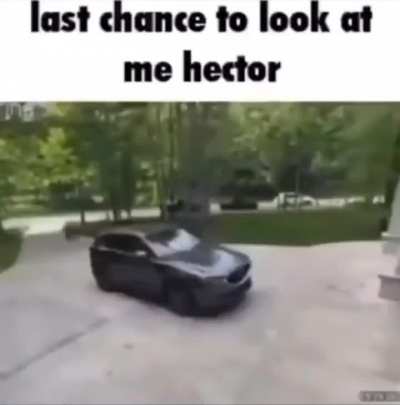 sayonara grandma