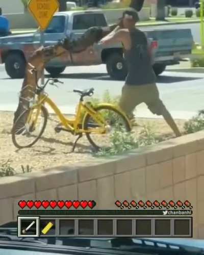Crackhead in minecraft