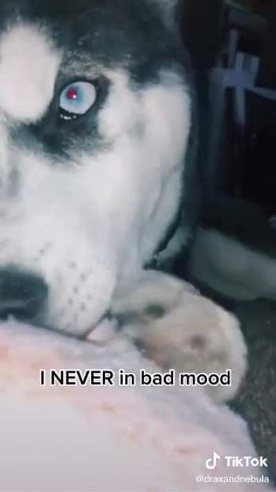 Don&rsquo;t let the eyebrows fool you&hellip;