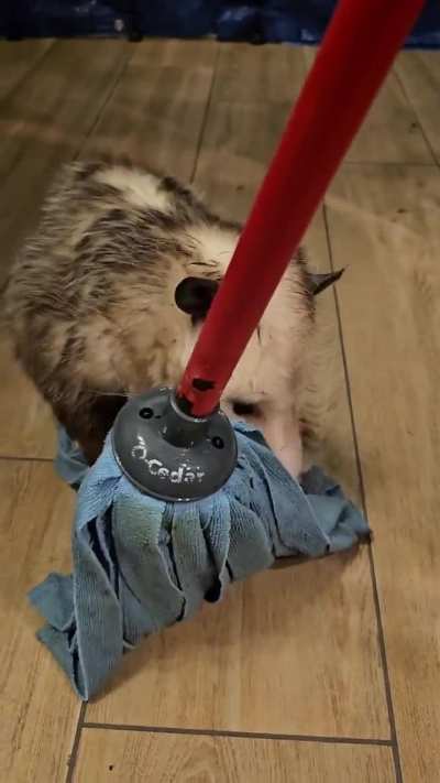 Mop rider