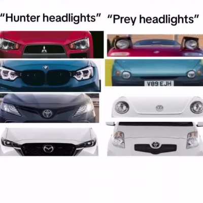 Your car needs to start mewing