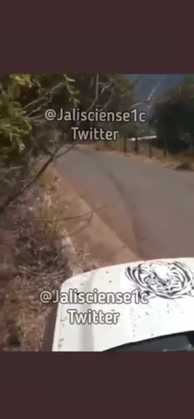 Enfrentamiento entre el CJNG y Los Correa en Ciudad Hidalgo, Michoacán 7 sicarios de Los Correa sin vida