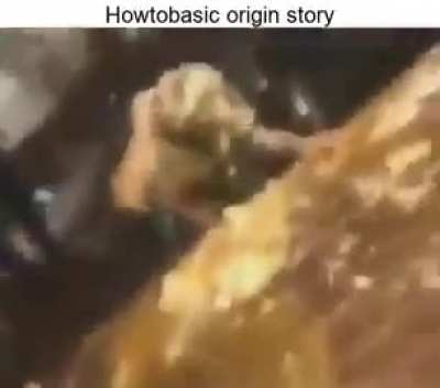 NO! 😭