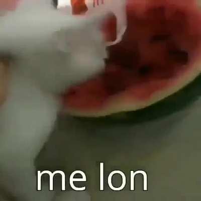 me lon